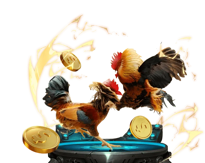 Hướng dẫn cho người mới bắt đầu chơi cá cược trực tuyến